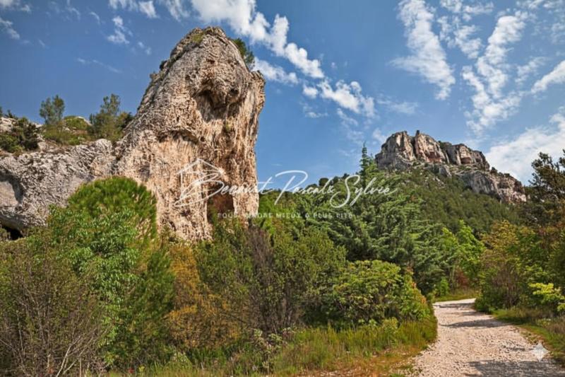 Terrain agricole - 174 206 m²