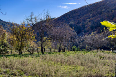 Maison - 70 m² - 4 pièces