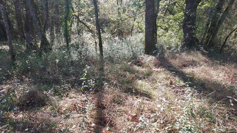 Terrain constructible - 1 255 m²