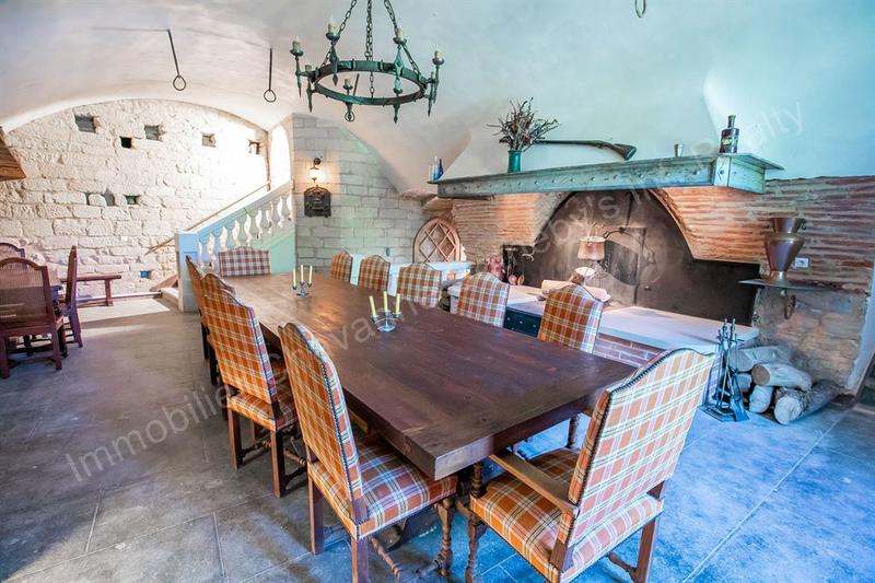 Château - 715 m² - 17 pièces