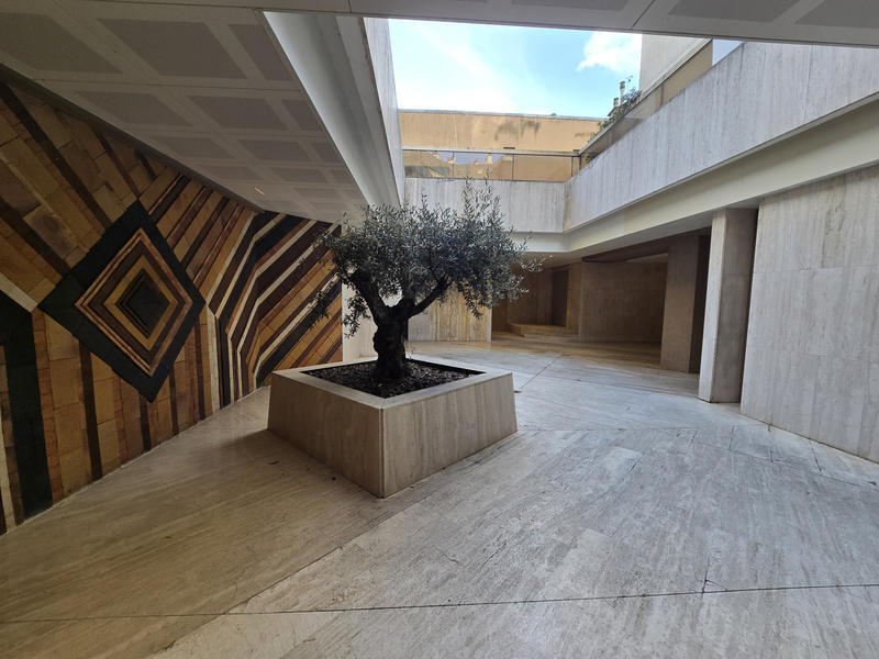 Local commercial - 260 m²