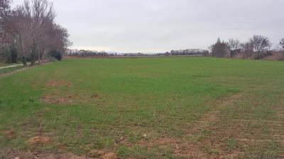 Terrain agricole - 19 460 m²
