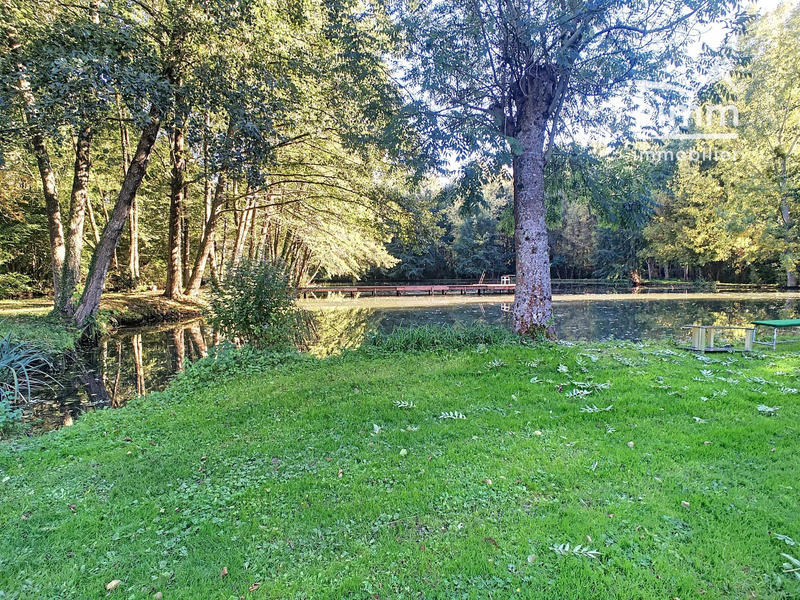 Maison - 365 m² - 15 pièces