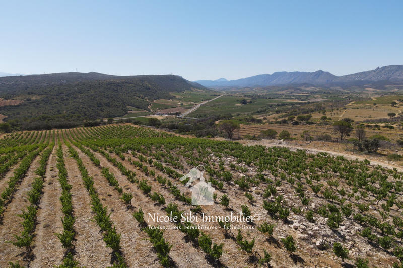 Terrain agricole - 30 000 m²