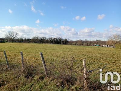 Terrain - 7 410 m²