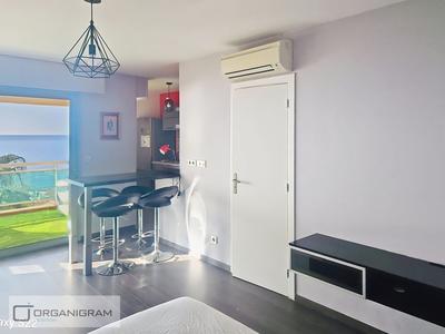 Appartement - 36 m² - 1 pièce