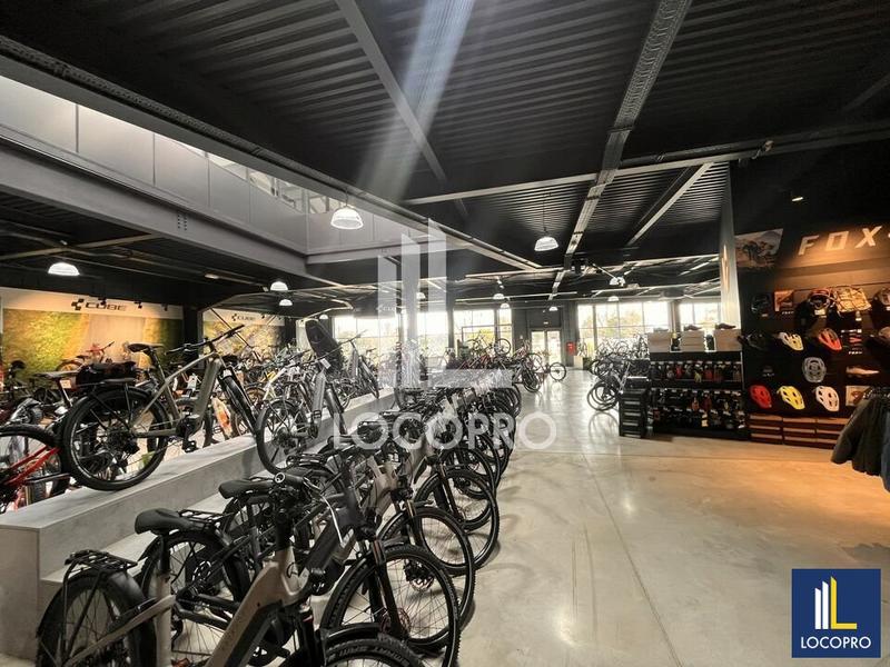 Local d'activité / Entrepôt - 3 700 m²