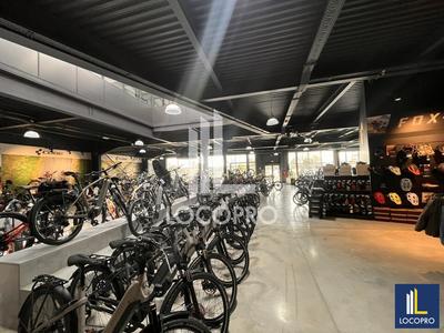 Local d'activité / Entrepôt - 3 700 m²