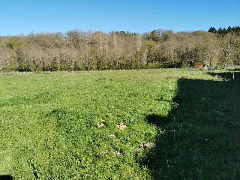 Maison de domaine équestre - 425 m² - 12 pièces