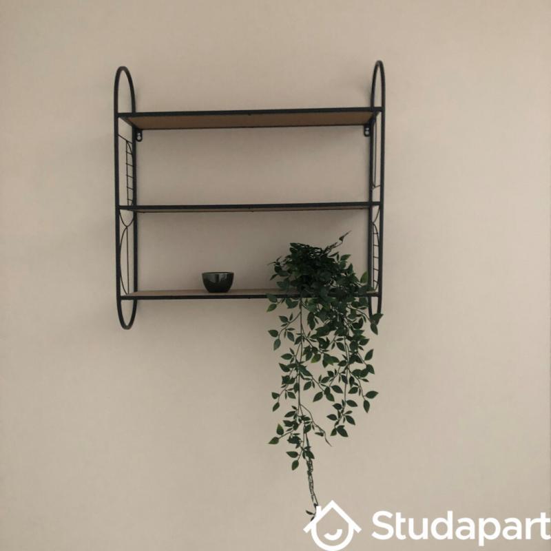 Chambre - 9 m² - 1 pièce