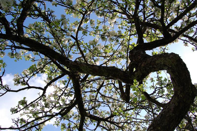 Exposition : Valérie Meyer et Ernest Barth