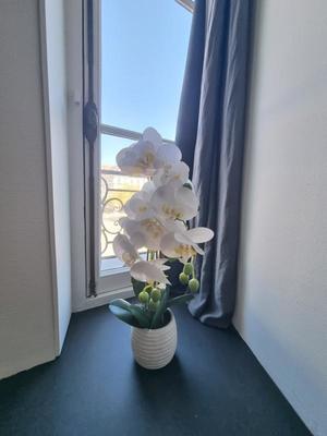 Appartement - 103 m² - 4 pièces