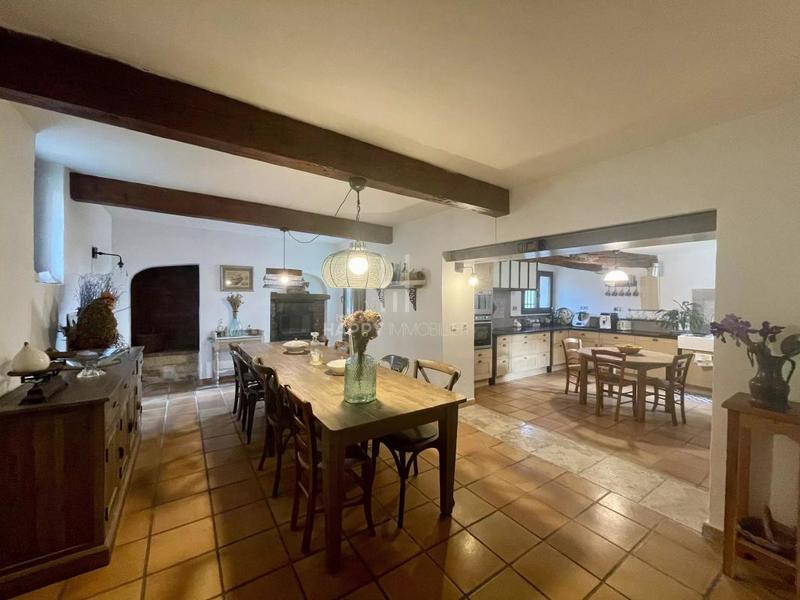 Mas - 450 m² - 5 pièces