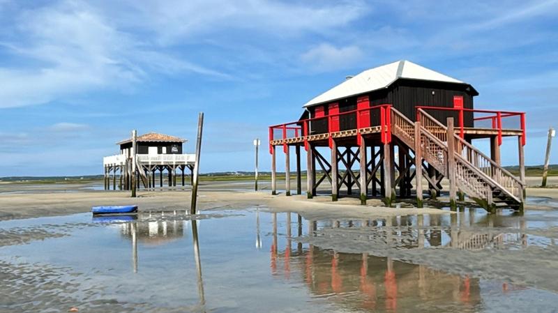 Sorties sur l'eau au départ du port de la Hume