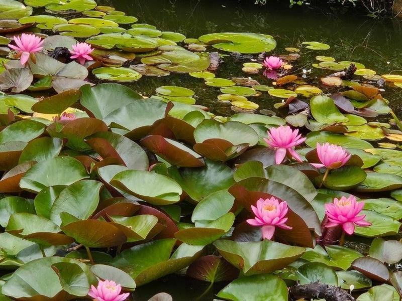 Maison - 135 m² - 4 pièces