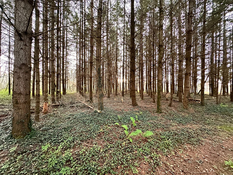 Terrain de loisirs - 23 143 m²