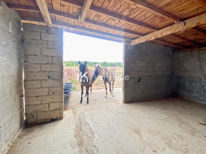 Ferme - 240 m² - 8 pièces