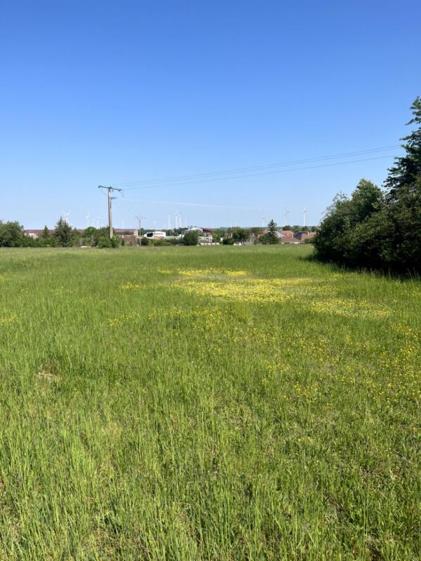 Terrain constructible - 7 090 m²