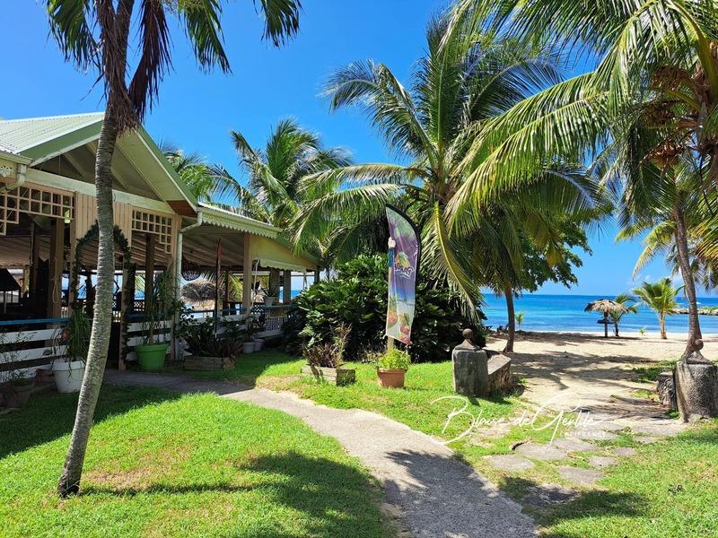 Appartement - 35 m² - 1 pièce