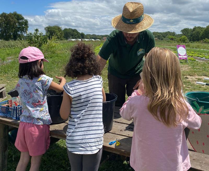 Fête de la fraise, à la Cueillette de l'Aragnon