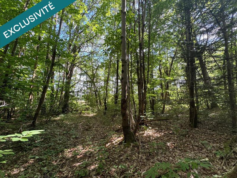 Terrain agricole - 6 940 m²