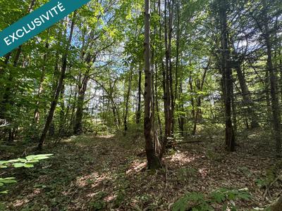 Terrain agricole - 6 940 m²