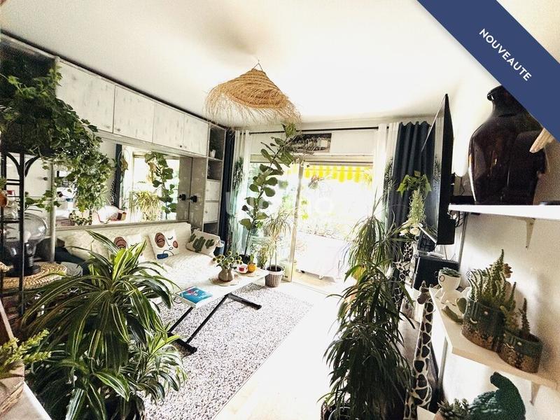 Studio - 30 m² - 1 pièce