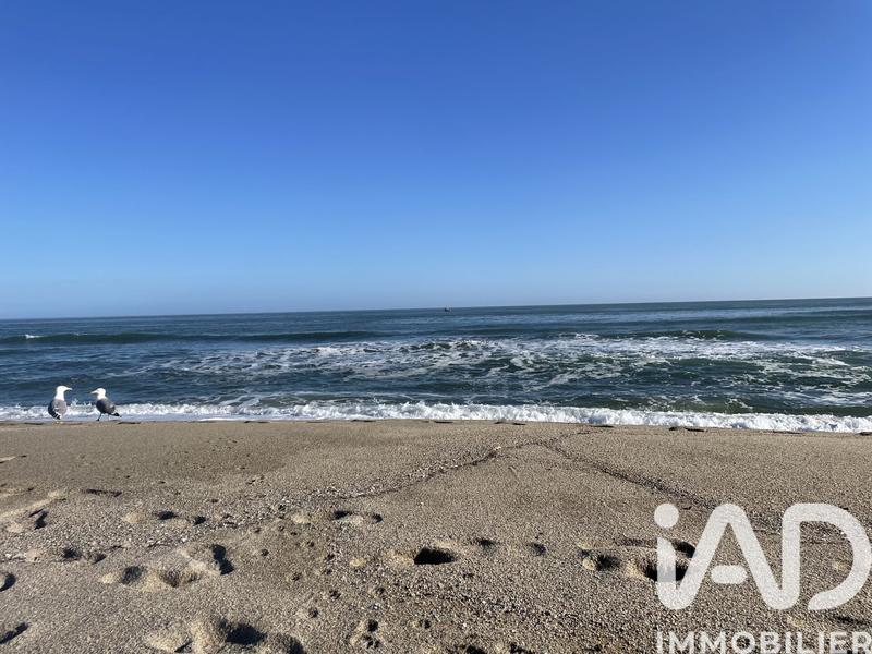 Appartement - 36 m² - 2 pièces