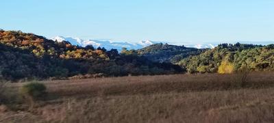 Maison de bois - 128 m² - 4 pièces