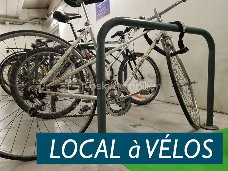 Appartement - 55 m² - 3 pièces