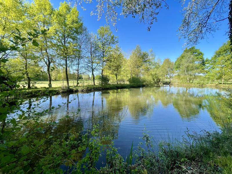 Terrain de loisirs - 5 871 m²