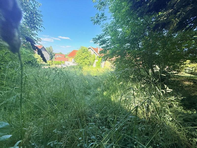 Maison - 300 m² - 7 pièces