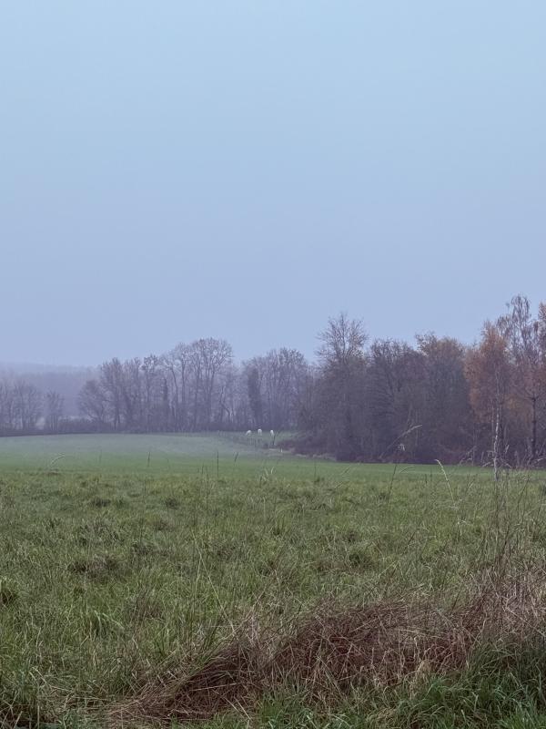 Terrain constructible - 730 m²