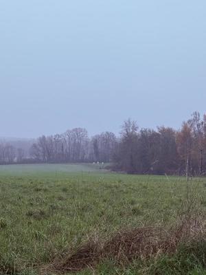 Terrain constructible - 730 m²