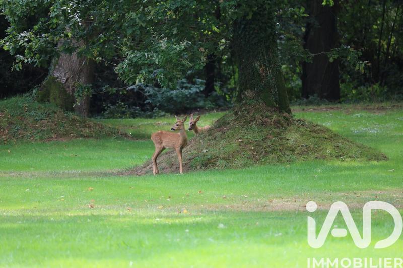 Maison - 280 m² - 7 pièces