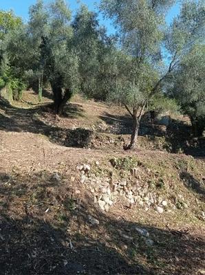 Terrain constructible - 2 000 m²