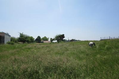 Terrain - 1 006 m²