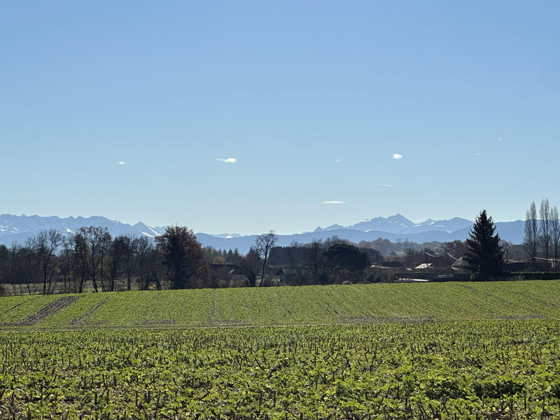 Maison - 137 m² - 7 pièces