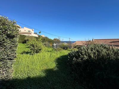 Terrain - 780 m²