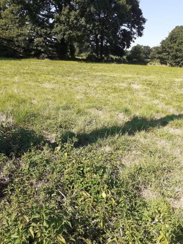 Terrain constructible - 850 m²