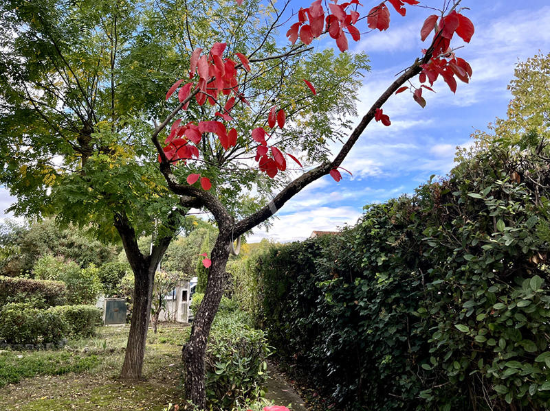 Maison - 141 m² - 8 pièces