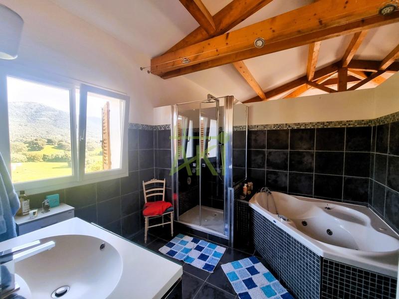 Maison - 376 m² - 7 pièces