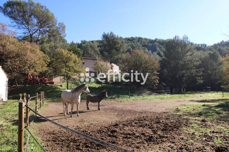 Maison - 238 m² - 8 pièces