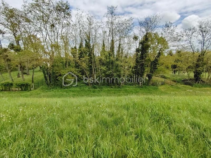 Terrain de loisirs - 2 091 m²