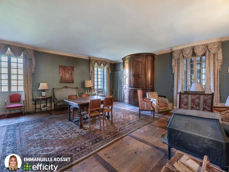 Château - 1 131 m² - 22 pièces