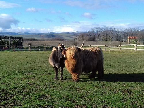 Ferme Pédagogique de la Moulerette