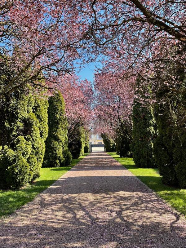 Demeure - 191 m² - 9 pièces