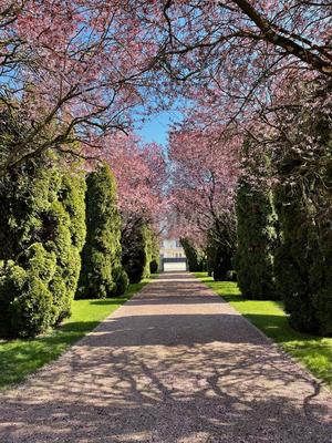 Demeure - 191 m² - 9 pièces