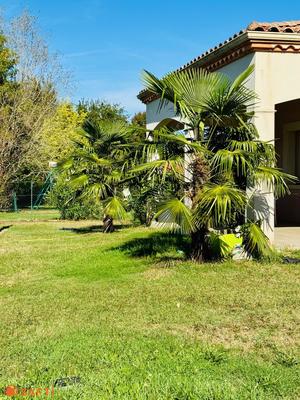 Maison - 146 m² - 5 pièces