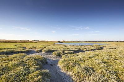 Visite commentée de l'Office de Tourisme : Balade dans le Havre de la Vanlée